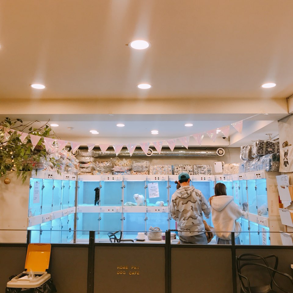 허니멍 이미지