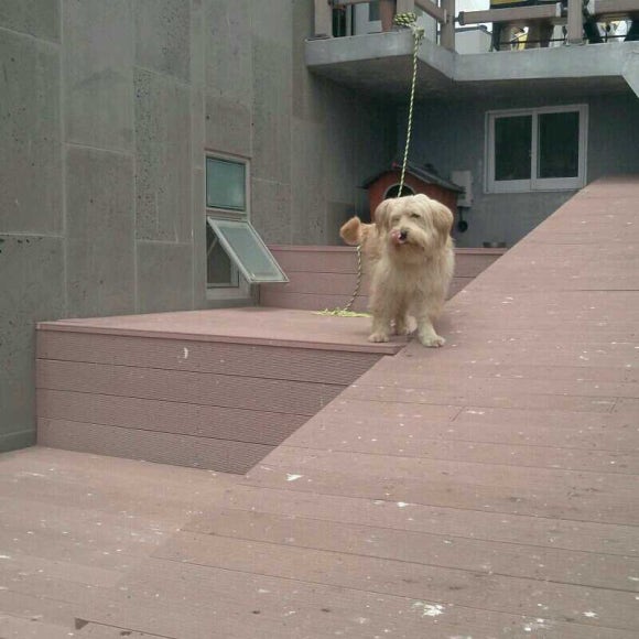 독도갤러리 이미지