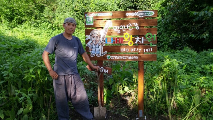 월인천강나비황차원 이미지