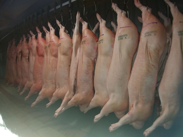 광주축산물도매센타 이미지