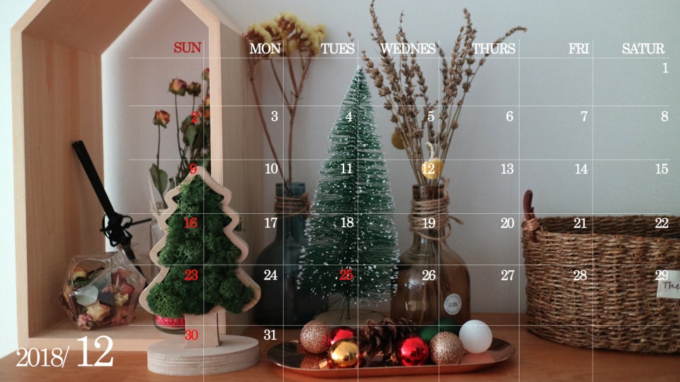 세무회계진광 이미지
