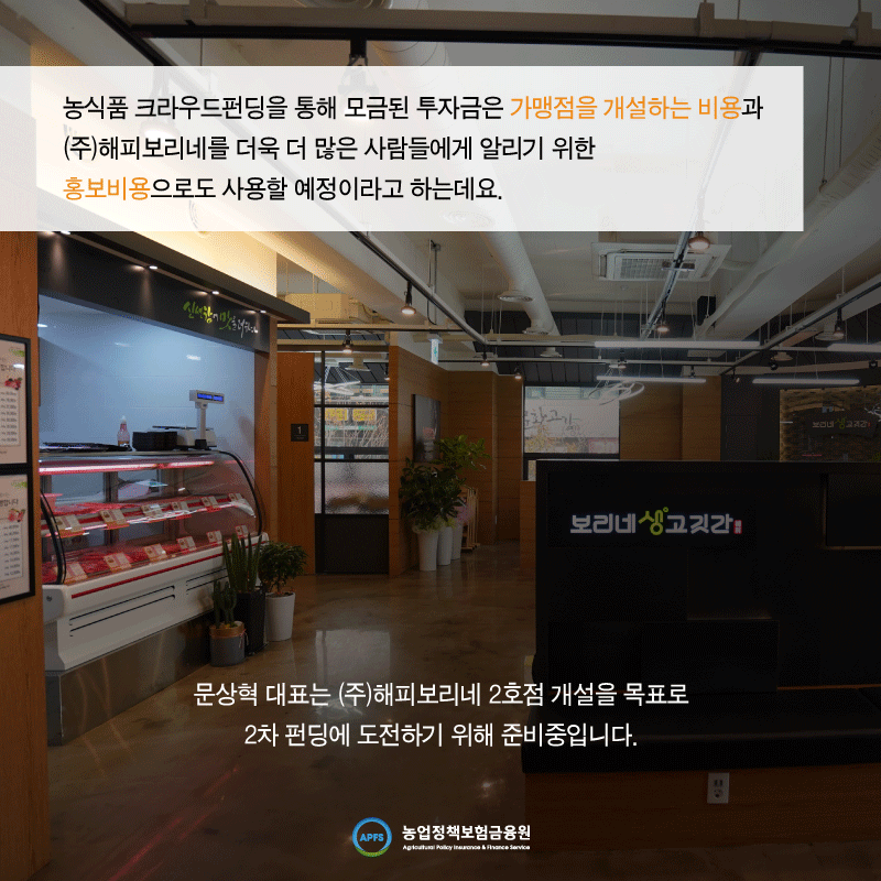 해피보리네 이미지