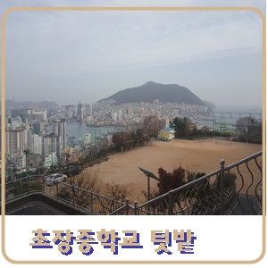 초장중학교 이미지