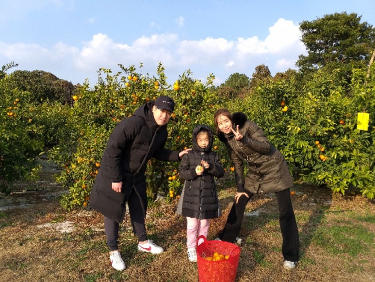 영희네감귤농장 이미지