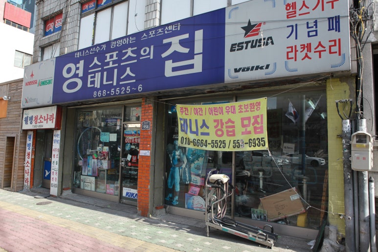 영스포츠 이미지