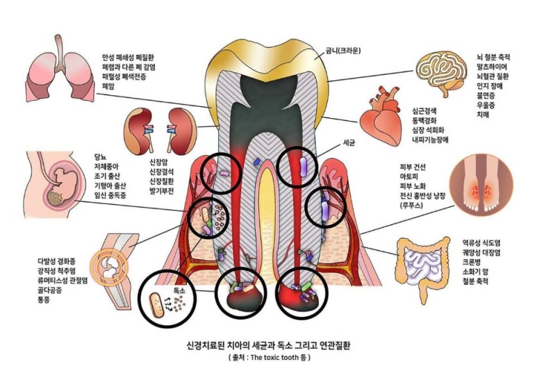늘푸른치과 이미지