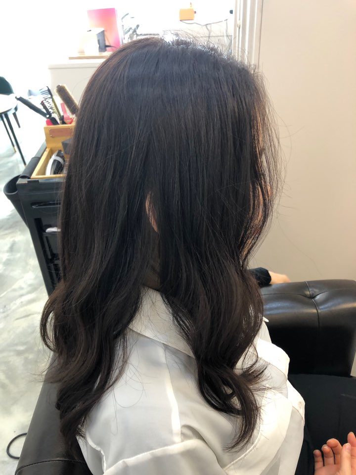 디포렛헤어 이미지