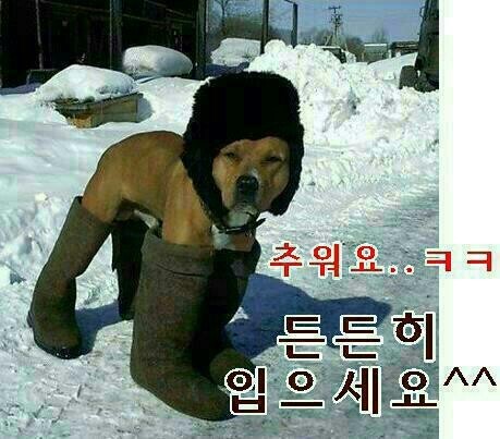 로즈힐 이미지