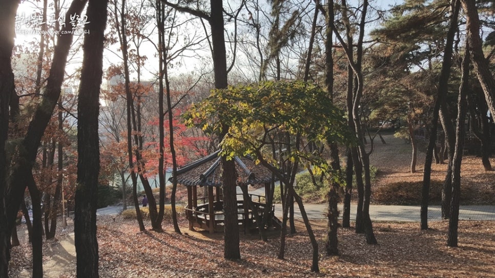 풍년골 이미지