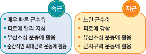 피지오스 이미지