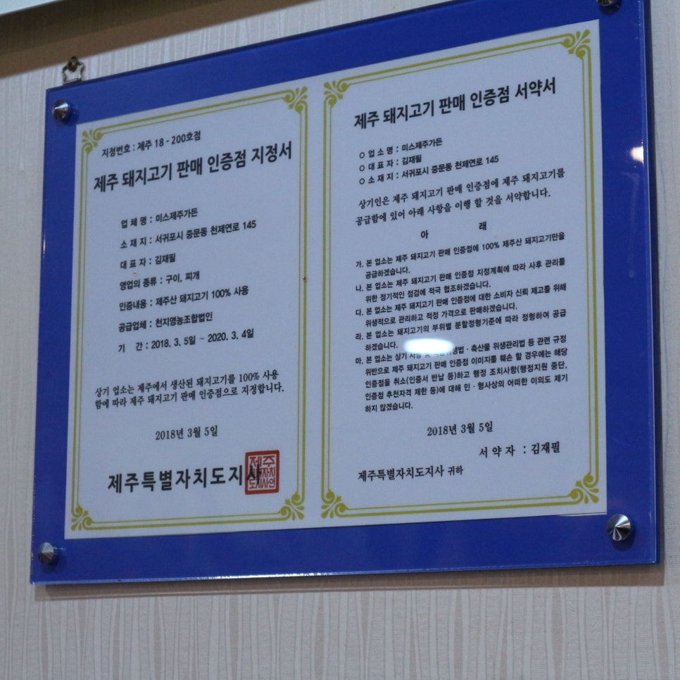 미스돼지 이미지