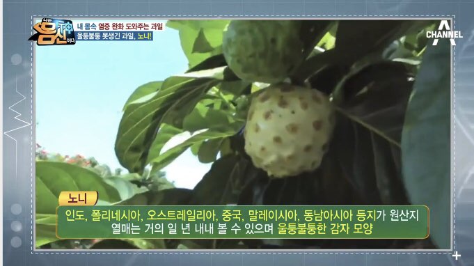 정우물산 이미지