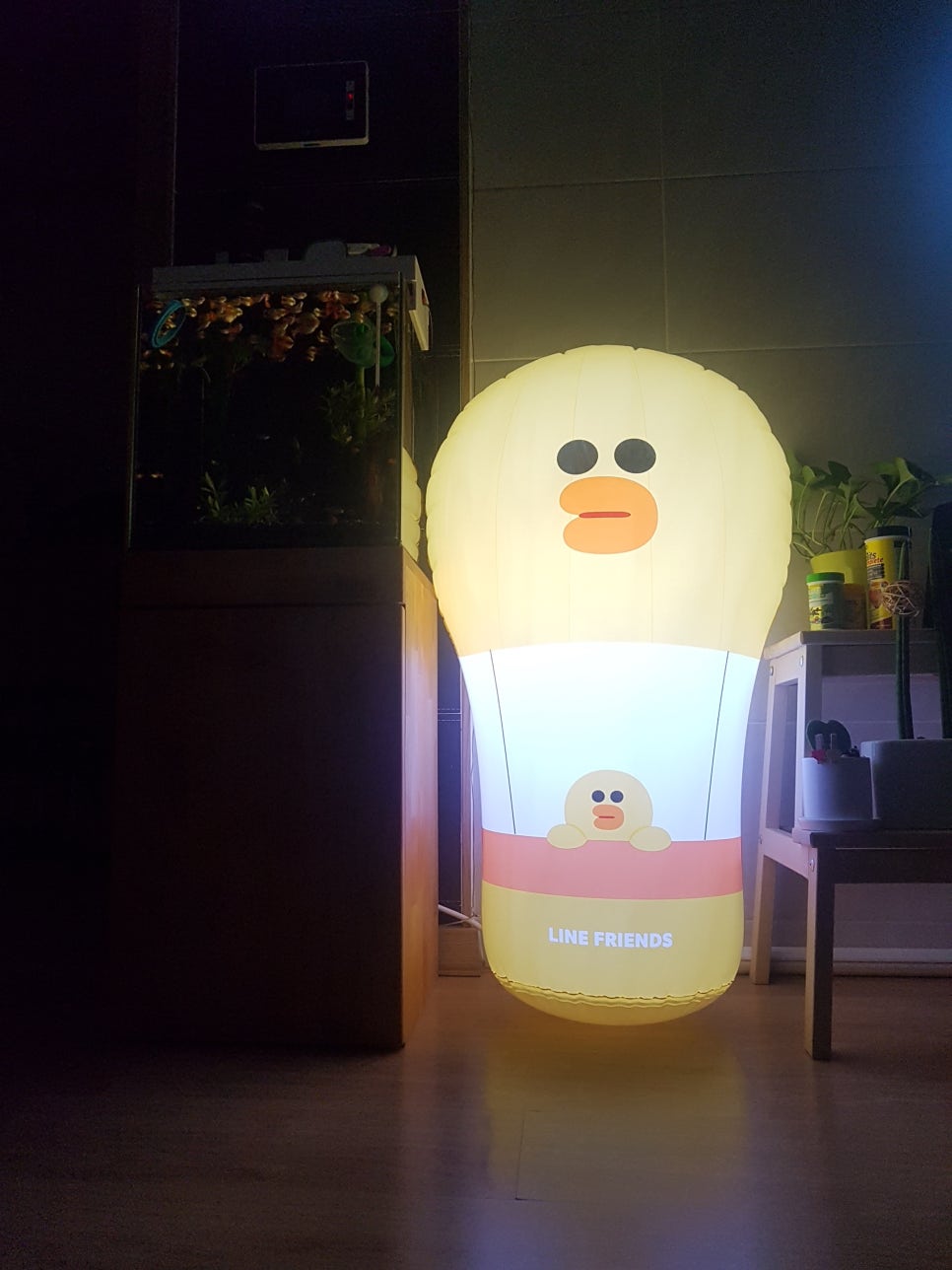 라이팅큐브 이미지