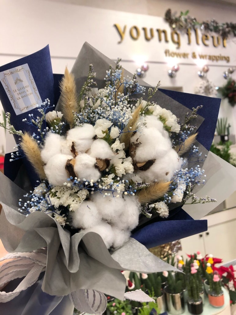 영플레르 이미지