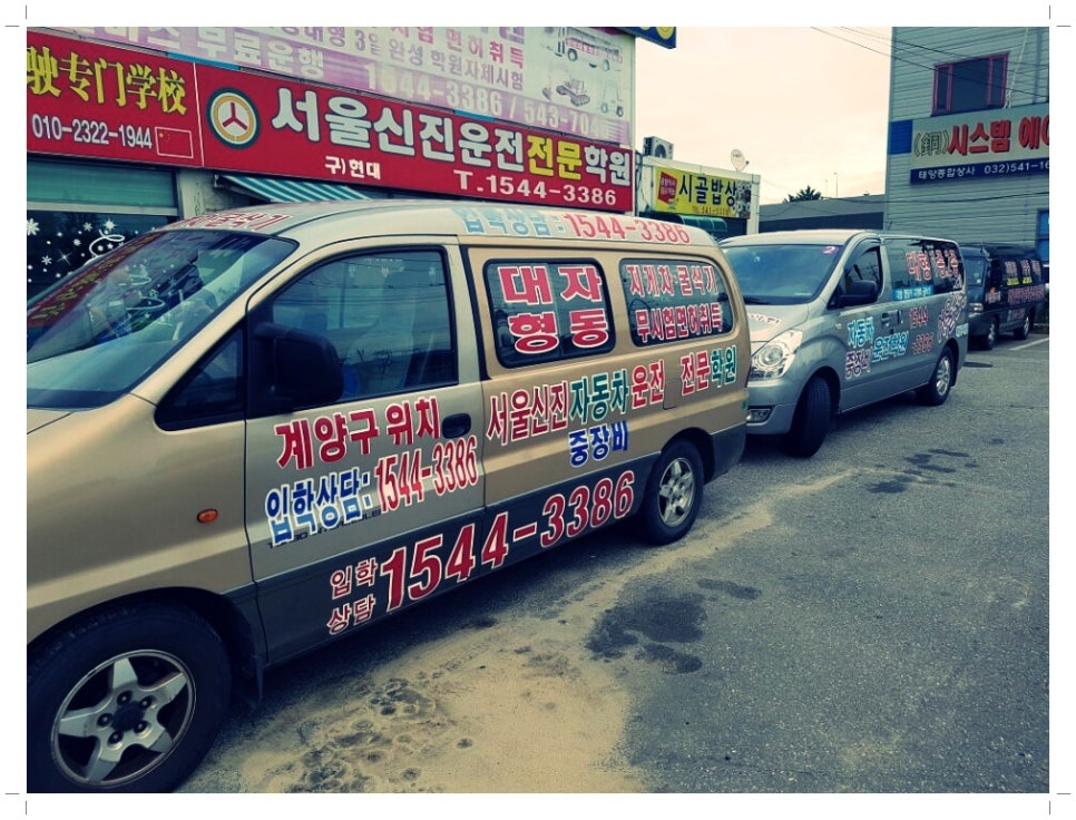신진자동차운전학원 이미지
