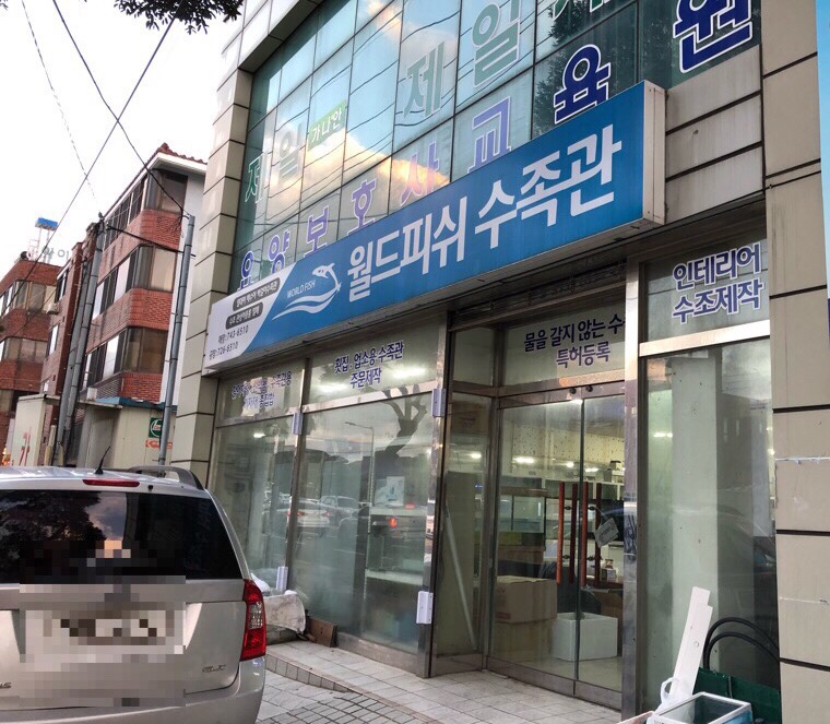 피쉬마트수족관 이미지