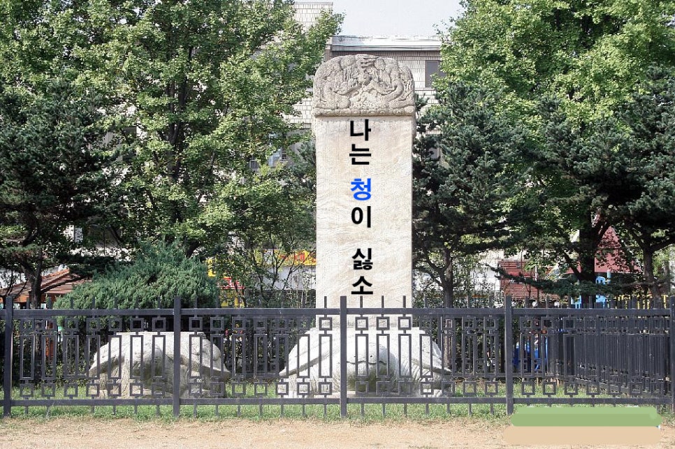 나는;청 이미지