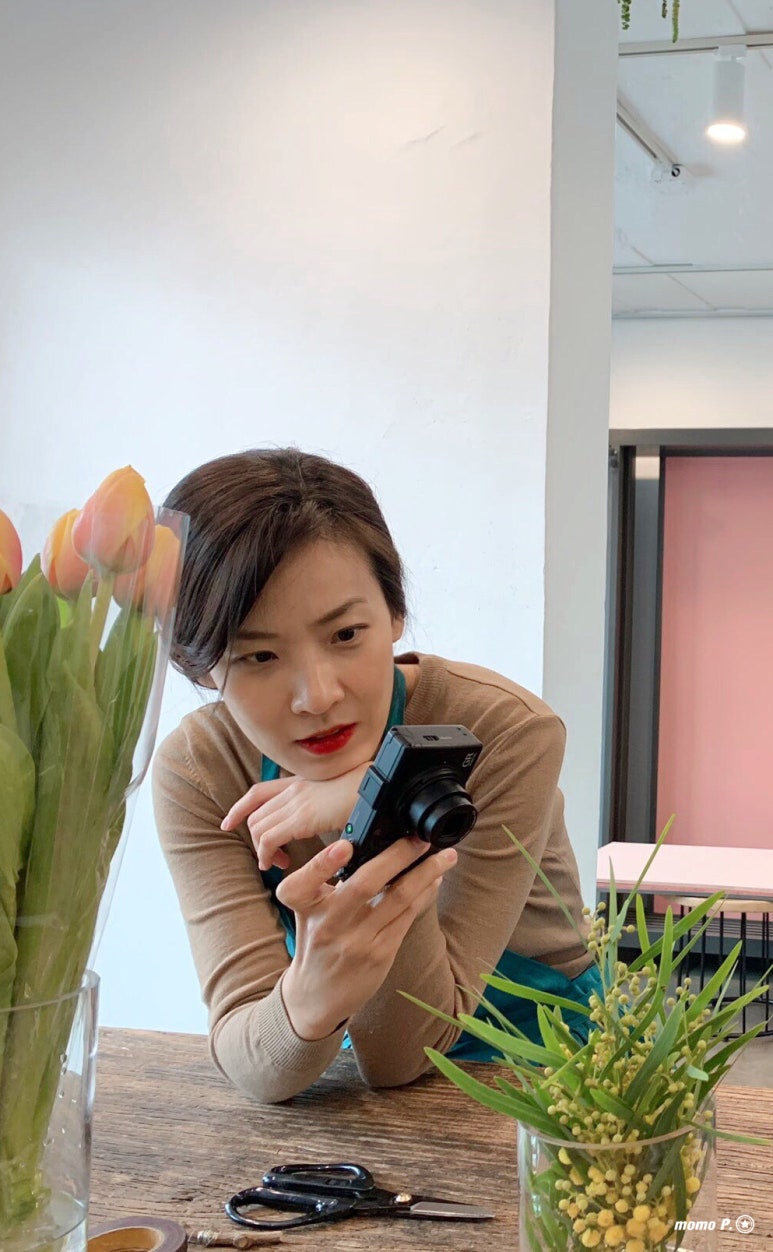블룸슈타인 이미지