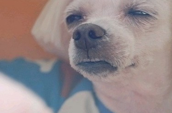 지현컴퍼니 이미지