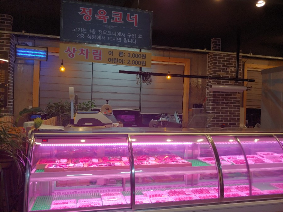 본떼 이미지