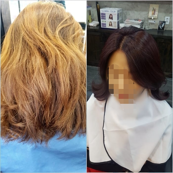 올리브헤어샾 이미지