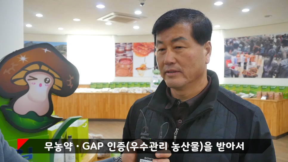 보령친환경버섯영농조합법인 이미지