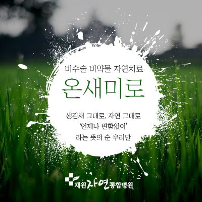 더셀채원병원 이미지