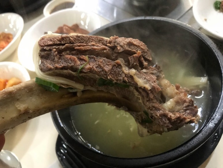 조선의짱 이미지
