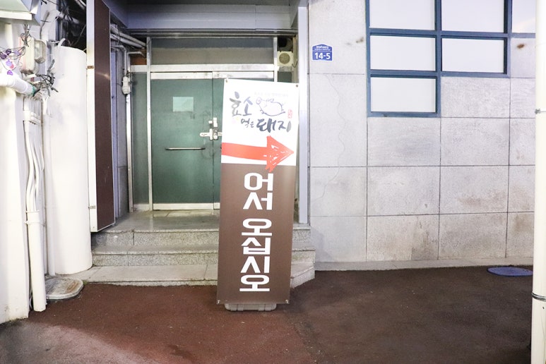 효소먹은돼지 이미지