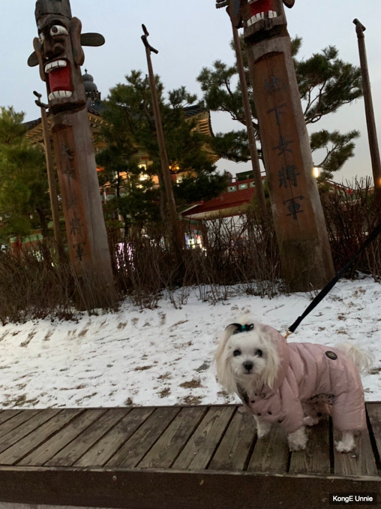 복정각 이미지