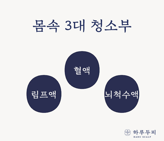 메이드테라피 이미지