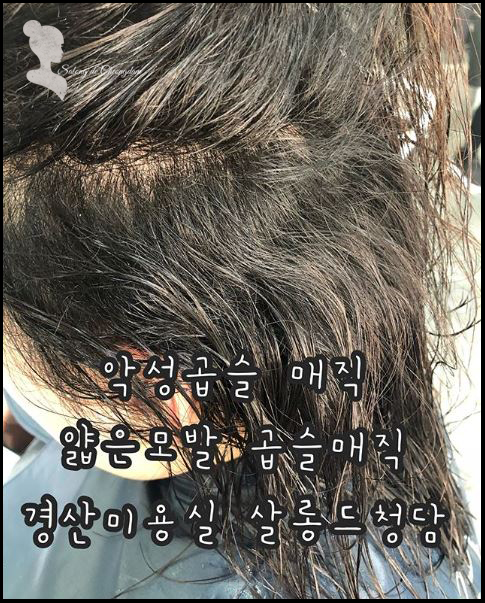 돼지꼬리미용실 이미지