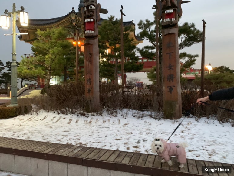 복정각 이미지