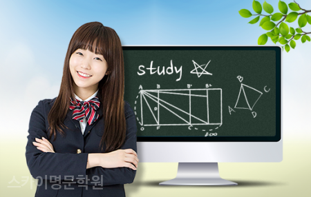 스카이명문학원 이미지