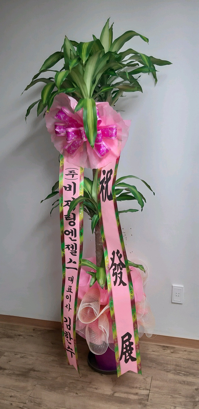 (주)비지팅엔젤스코리아 이미지