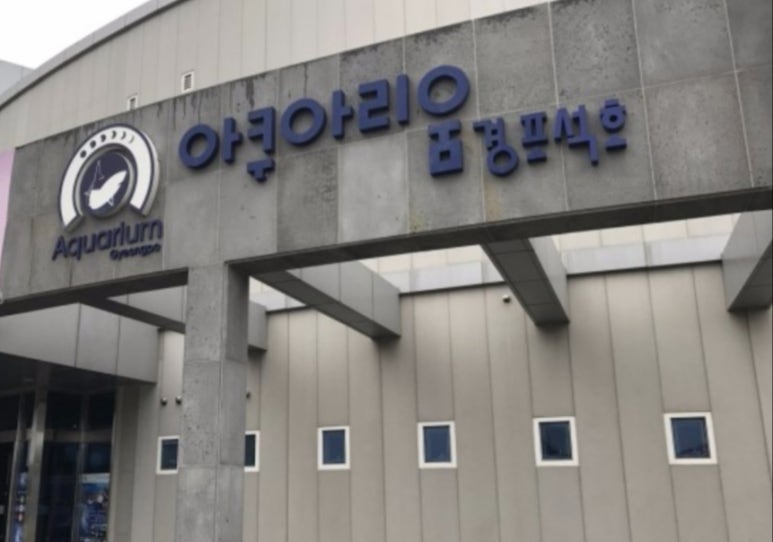 (주)경포아쿠아리움 이미지