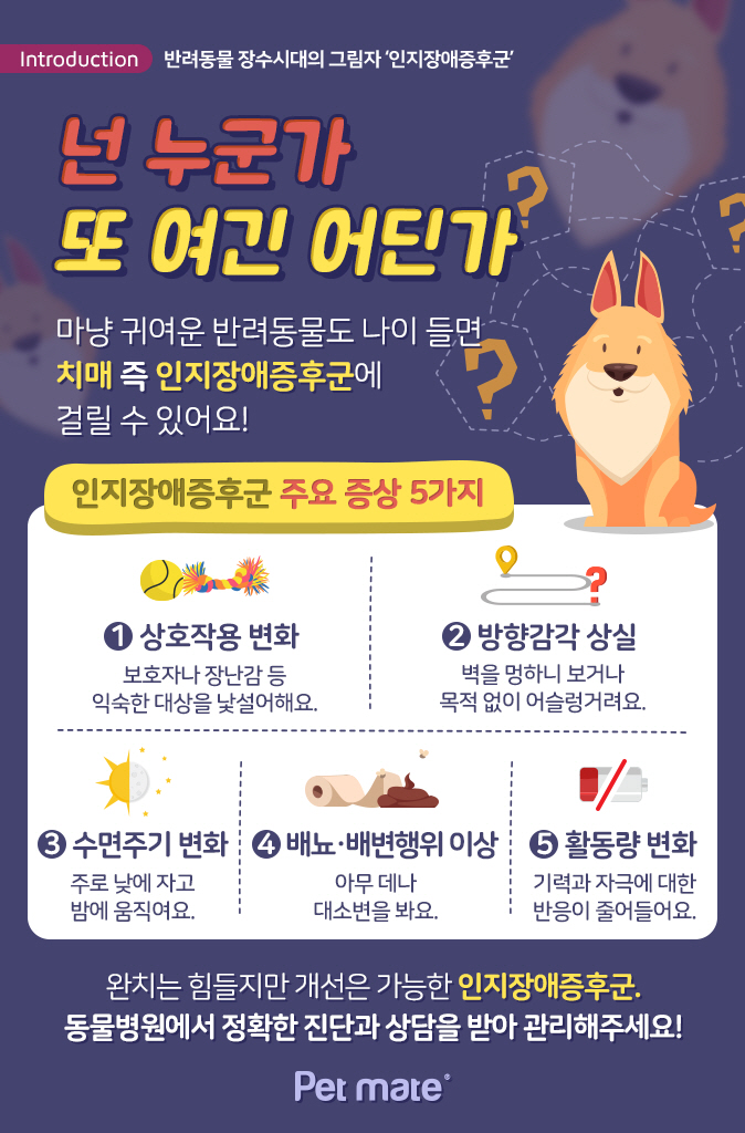제인병원 이미지