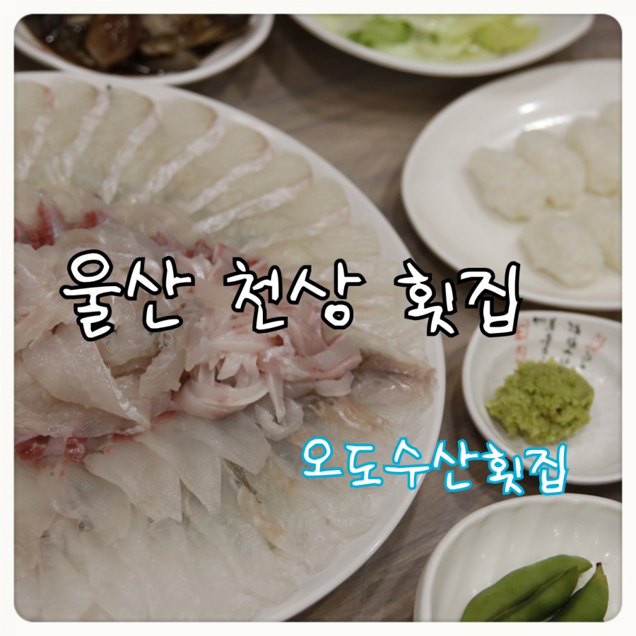 천상수산 이미지