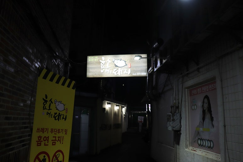 효소먹은돼지 이미지