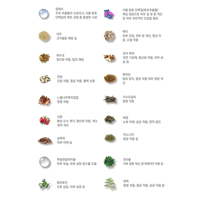 토인헤어 이미지