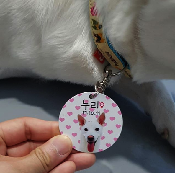 누리아르 이미지