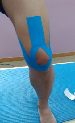 호산대학교 이미지