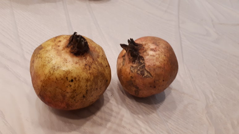 무진산업개발(주) 이미지
