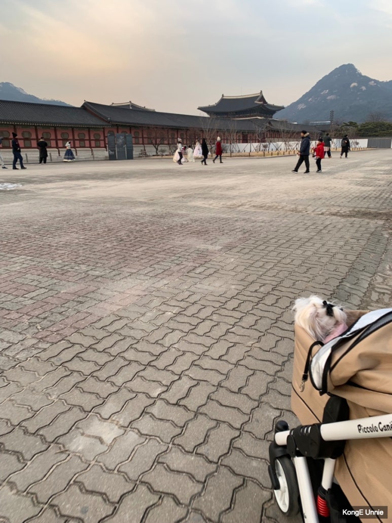 복정각 이미지