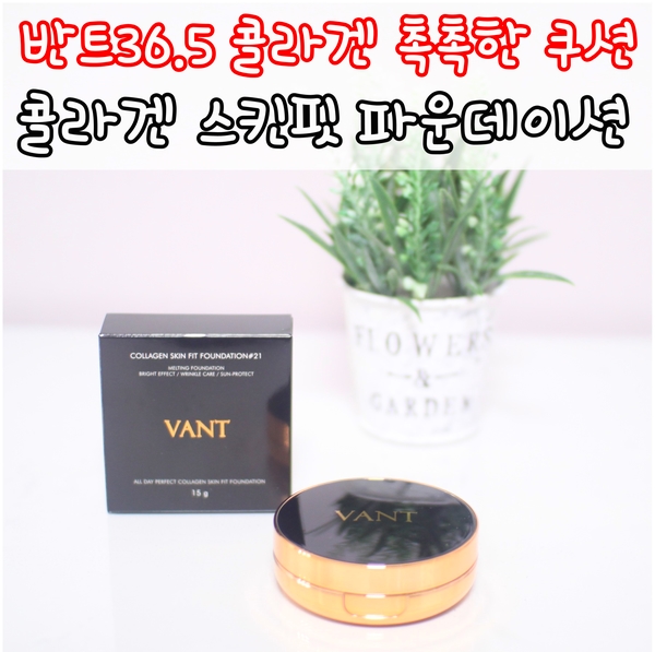 핏36.5 이미지