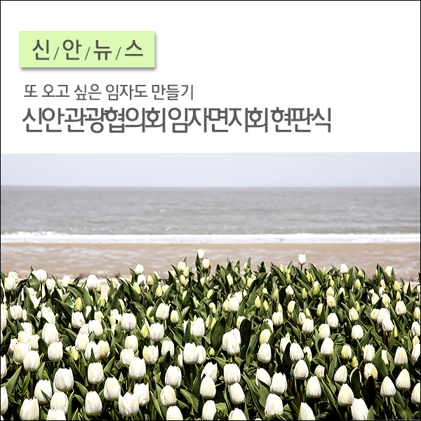 신안군관광협의회임자면지회 이미지