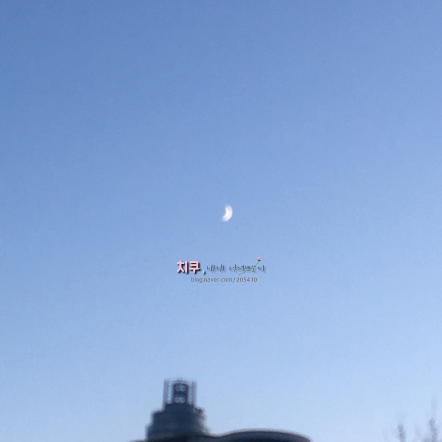 테이트카페 이미지