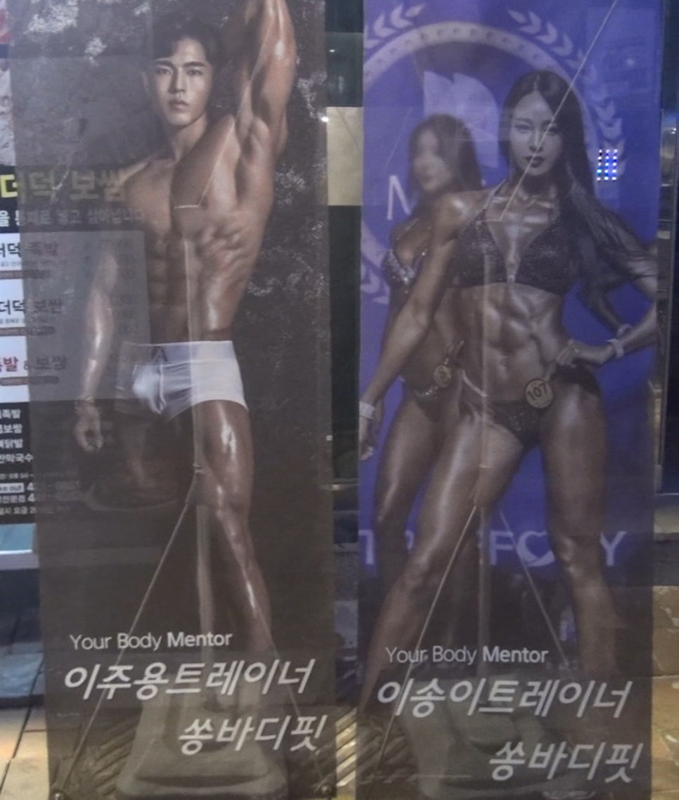쏭바디핏간석 이미지
