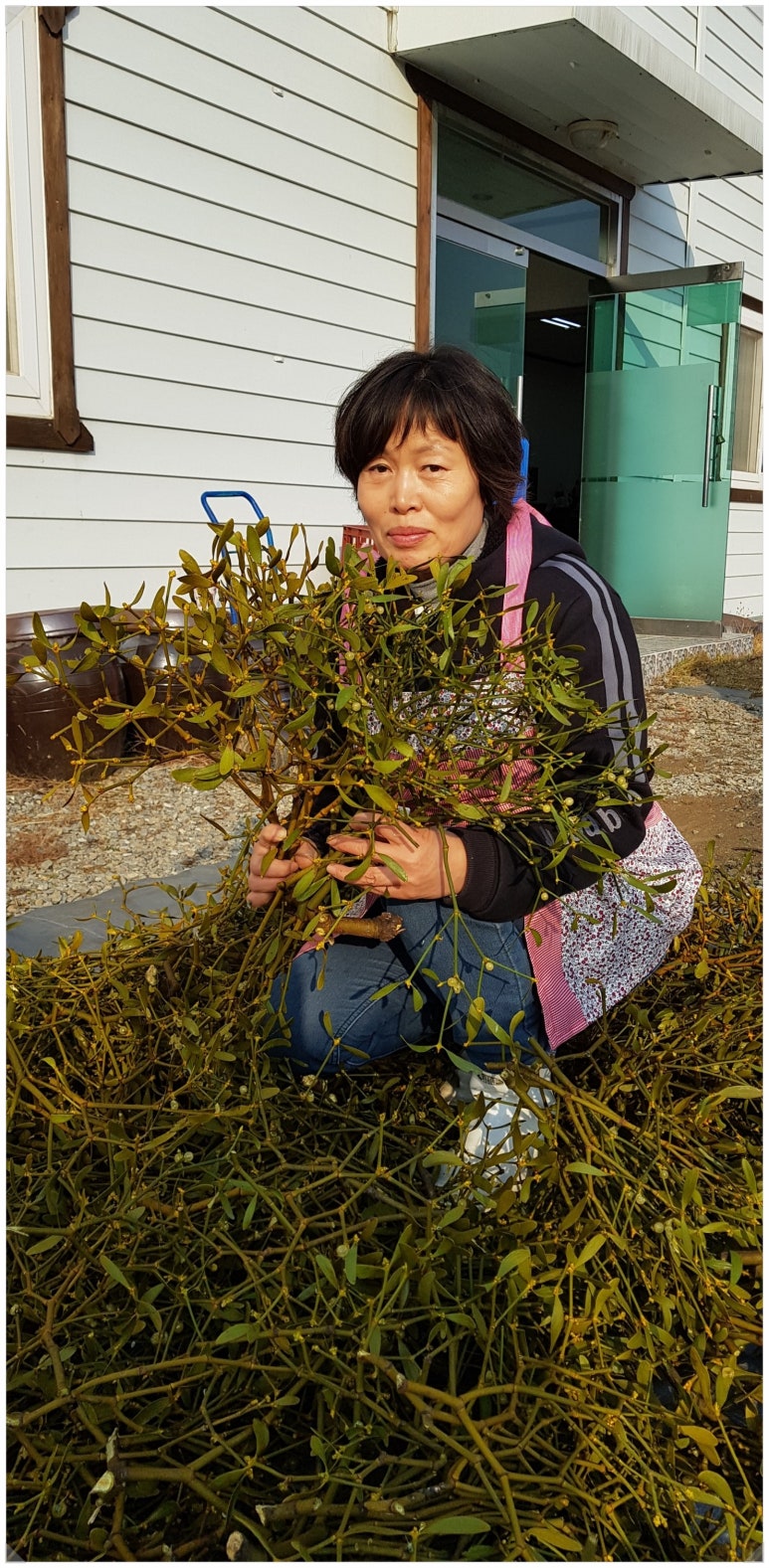 문경천연현미식초 이미지