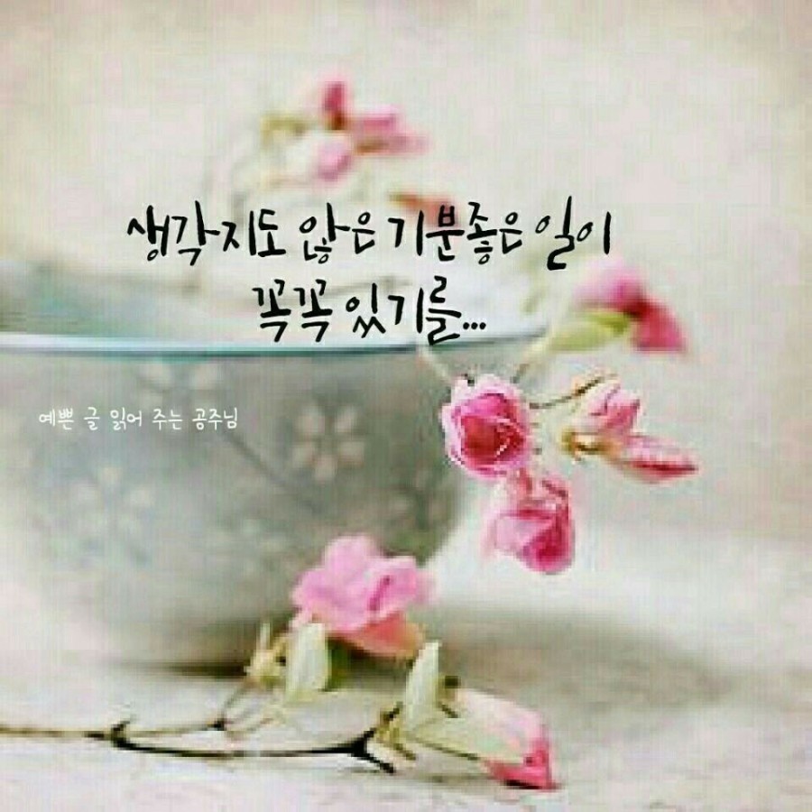 미송헤어 이미지